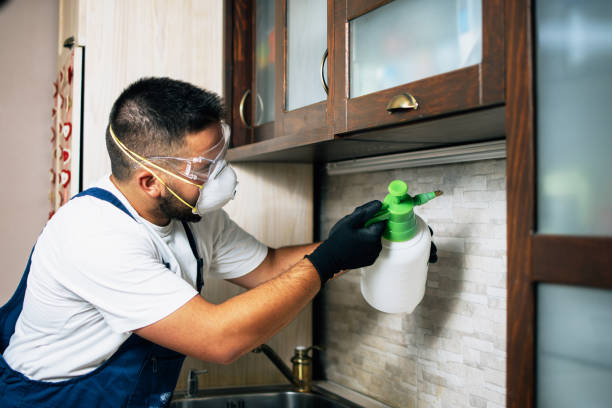 Best Residential Pest Control  in Defiance, OH