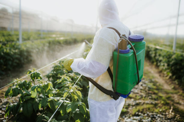 Best Best Pest Control Companies  in Defiance, OH
